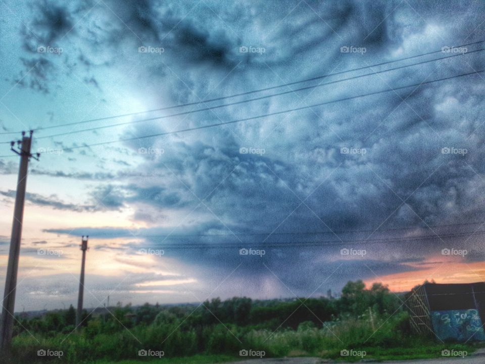 nature flower botany summer spring greens wild clouds sky