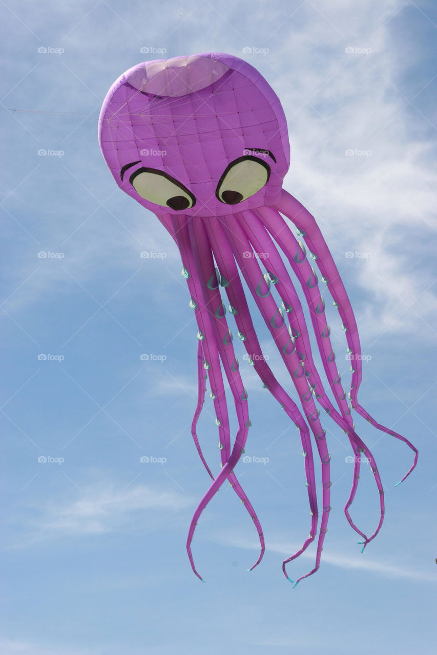 purple kite eye octopus by kshapley