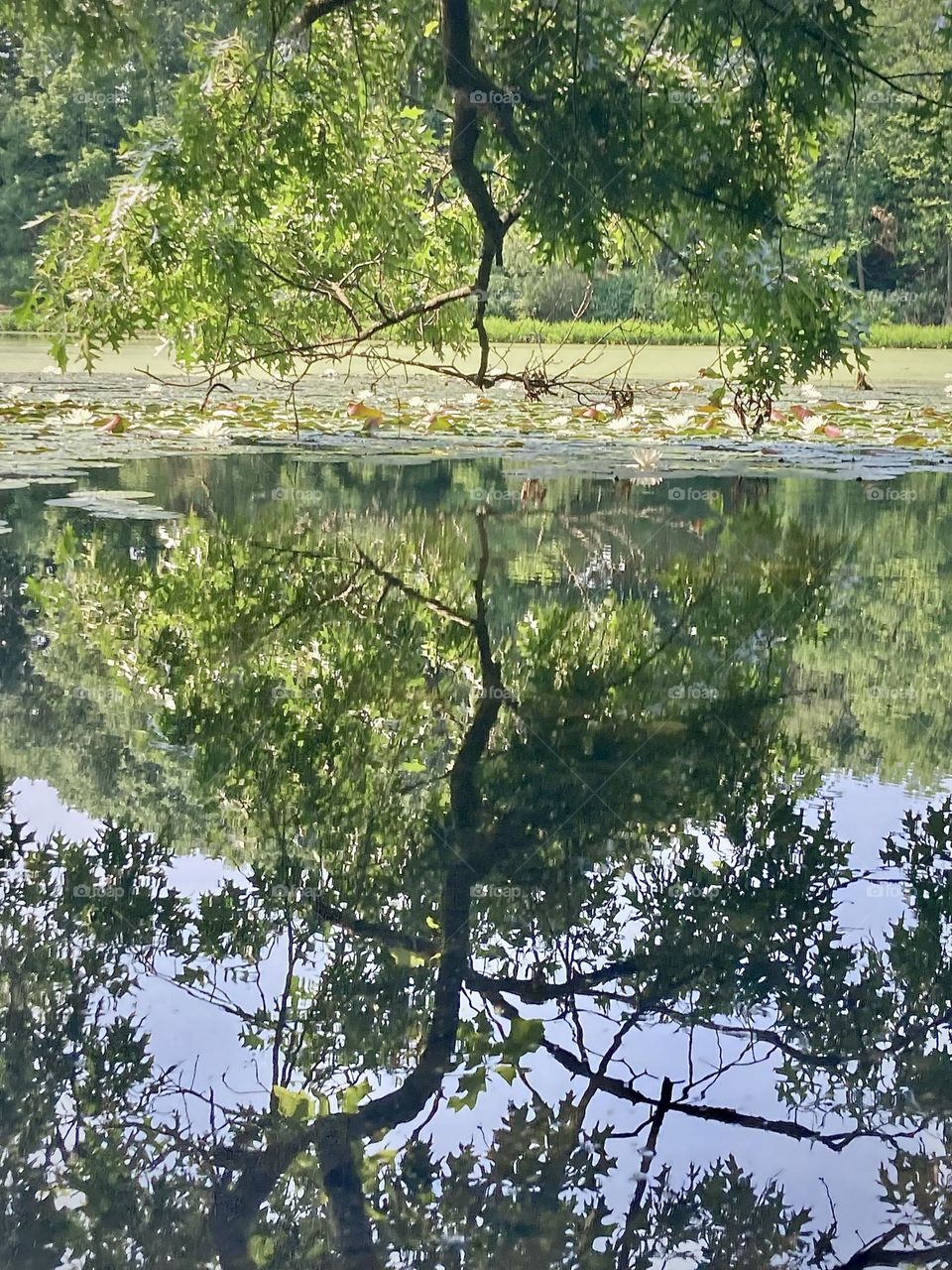 Reflecting on a great summer so far