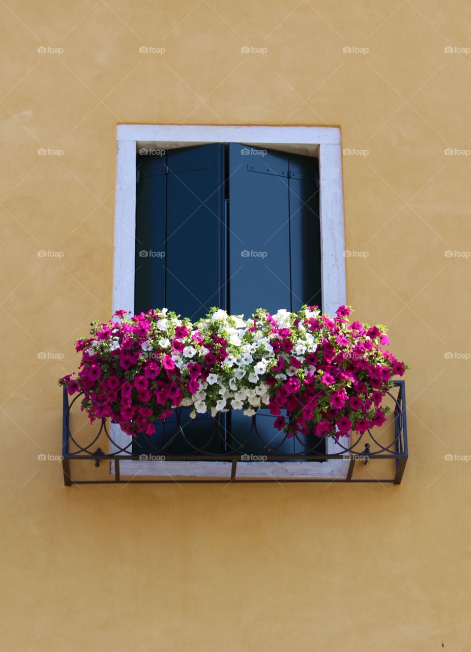 Window with flowers, Nice