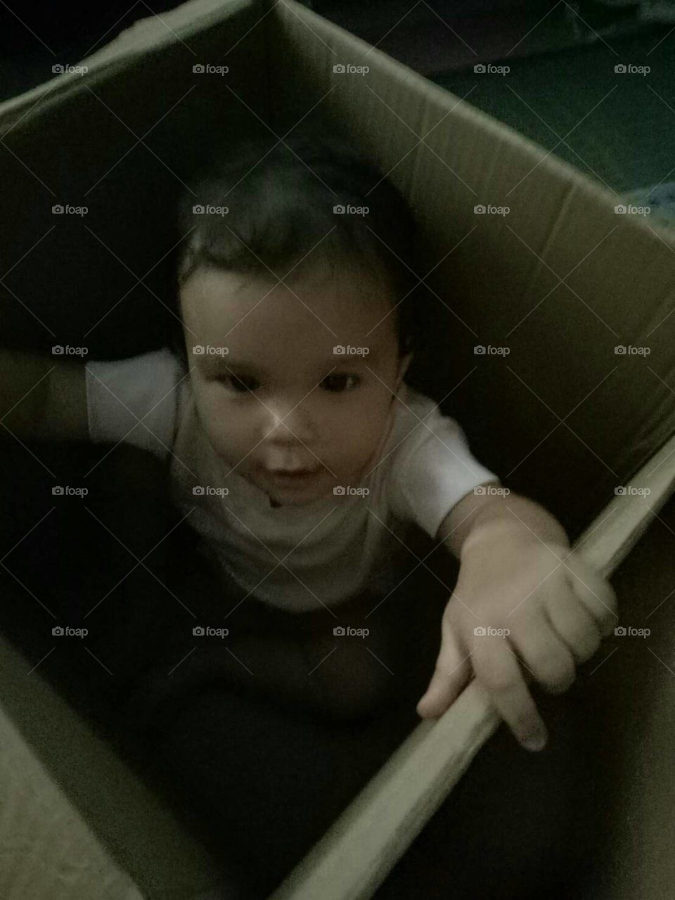in the box