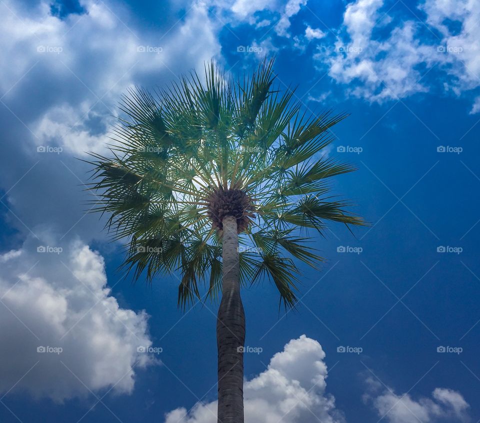 Blue sky