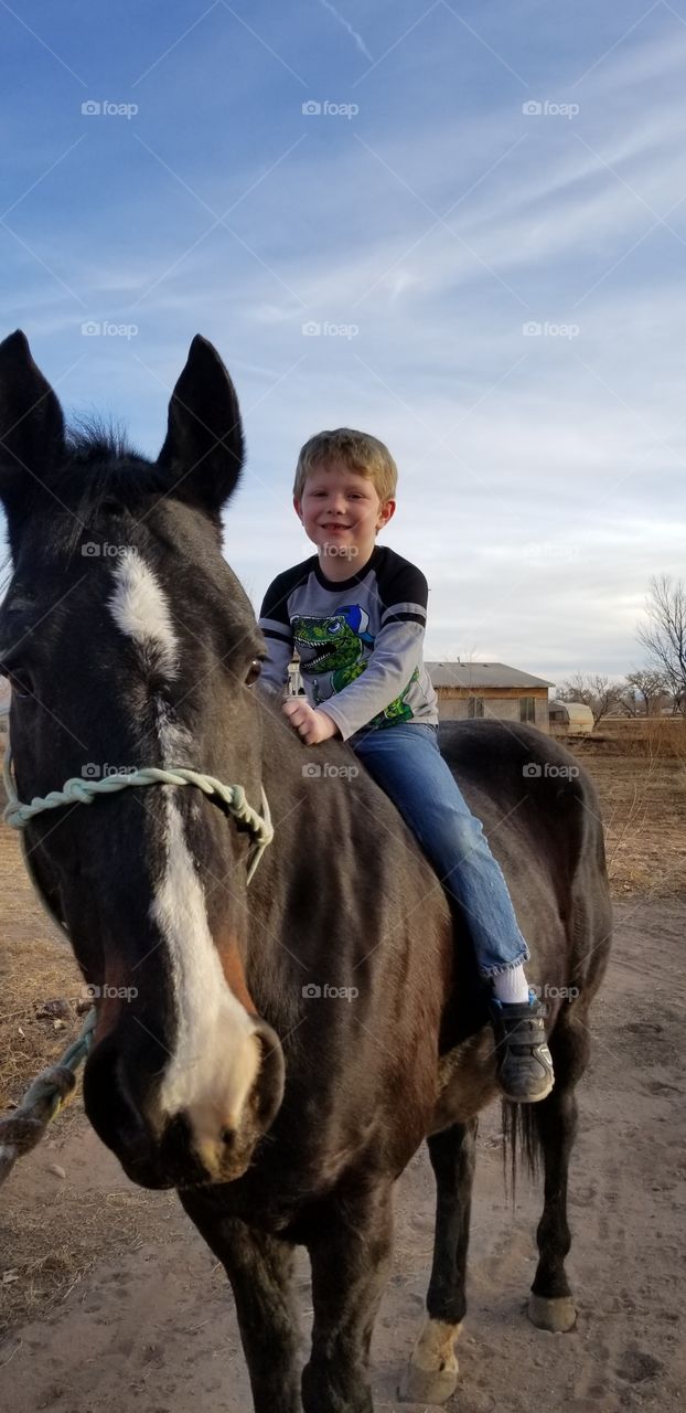 a boy and his horse
