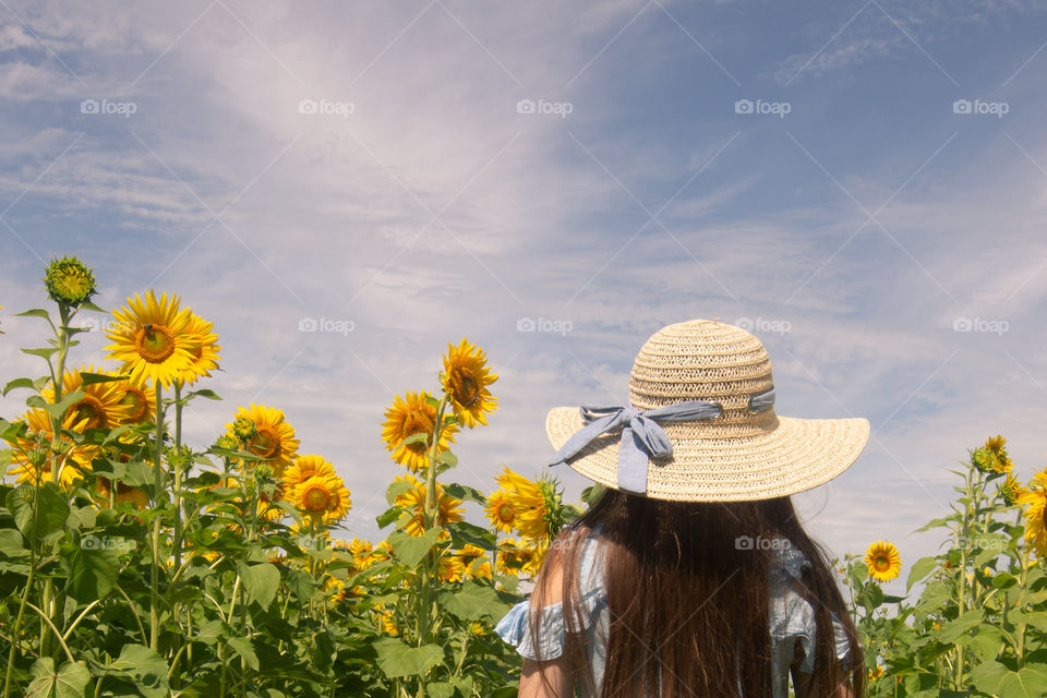 Girl in a sunflower farm