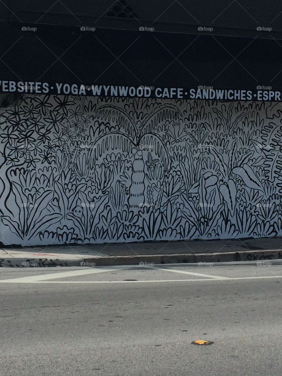 Art walk wynwood walls Miami