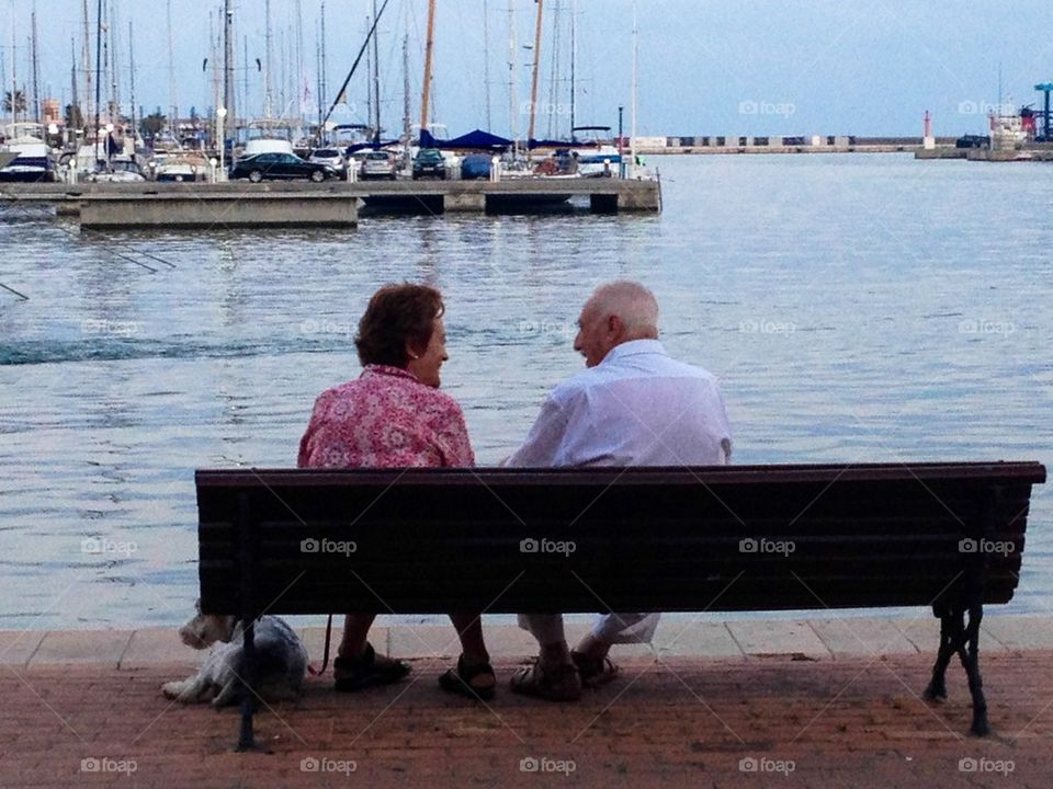 Old friends on a bench
