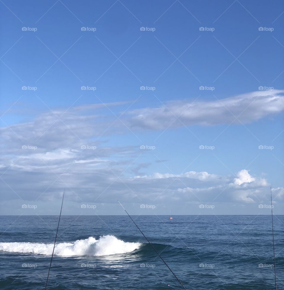 All what I love in one picture 