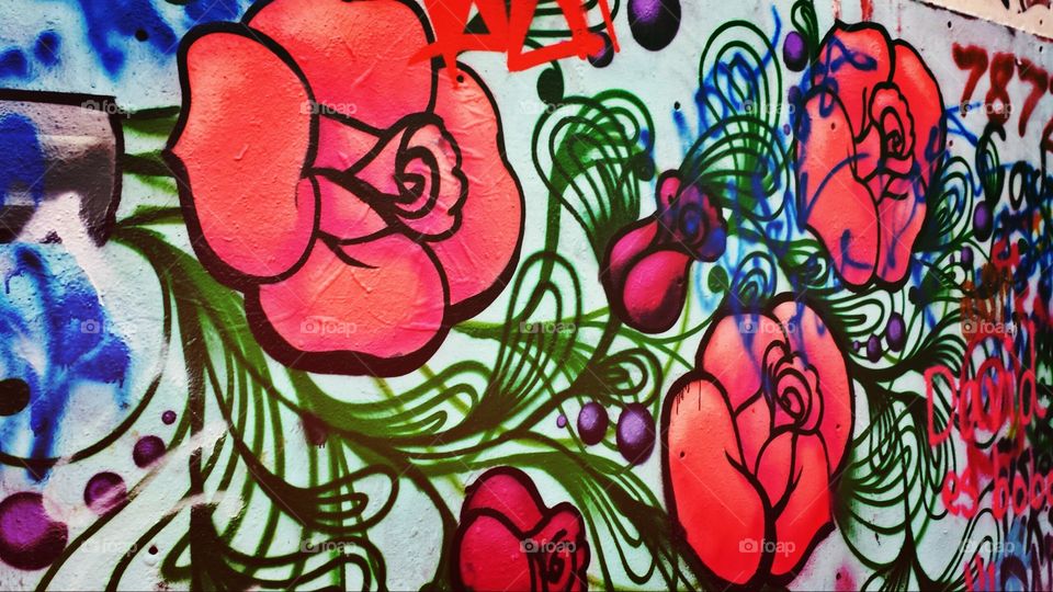 Graffiti roses. A wall at Graffiti Park in Austin Tx.