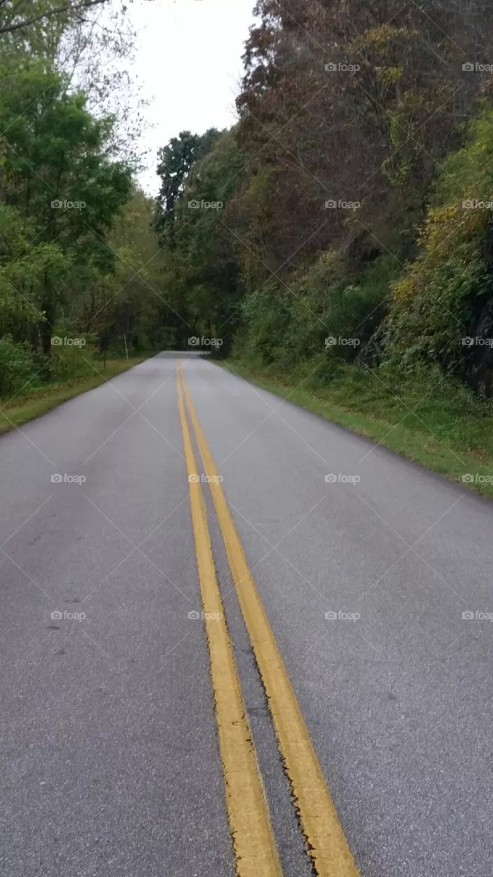 Road, Asphalt, Highway, Guidance, No Person