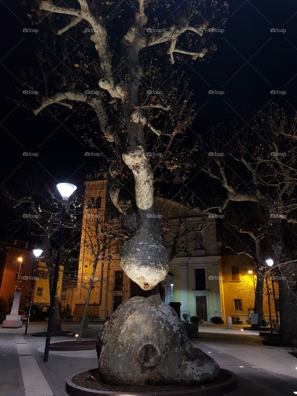 Garda's tree