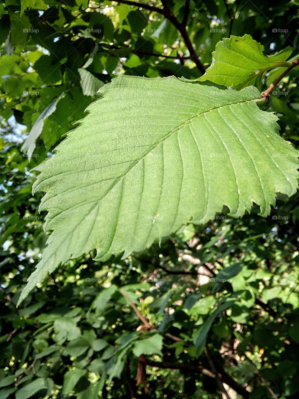 "I realized that day that blessings come in a variety of shapes, colors, and sizes."
~ Craig Groeschel, Weird: Because Normal Isn't Working