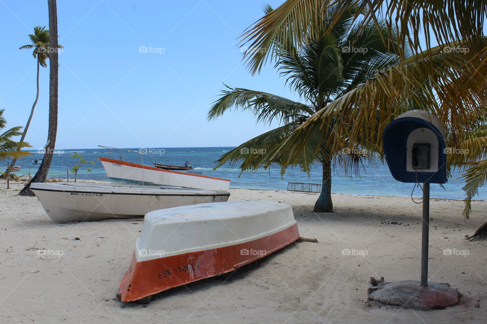 saona boats