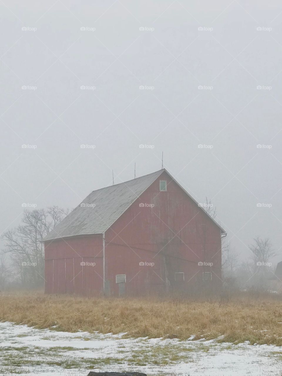 Barn