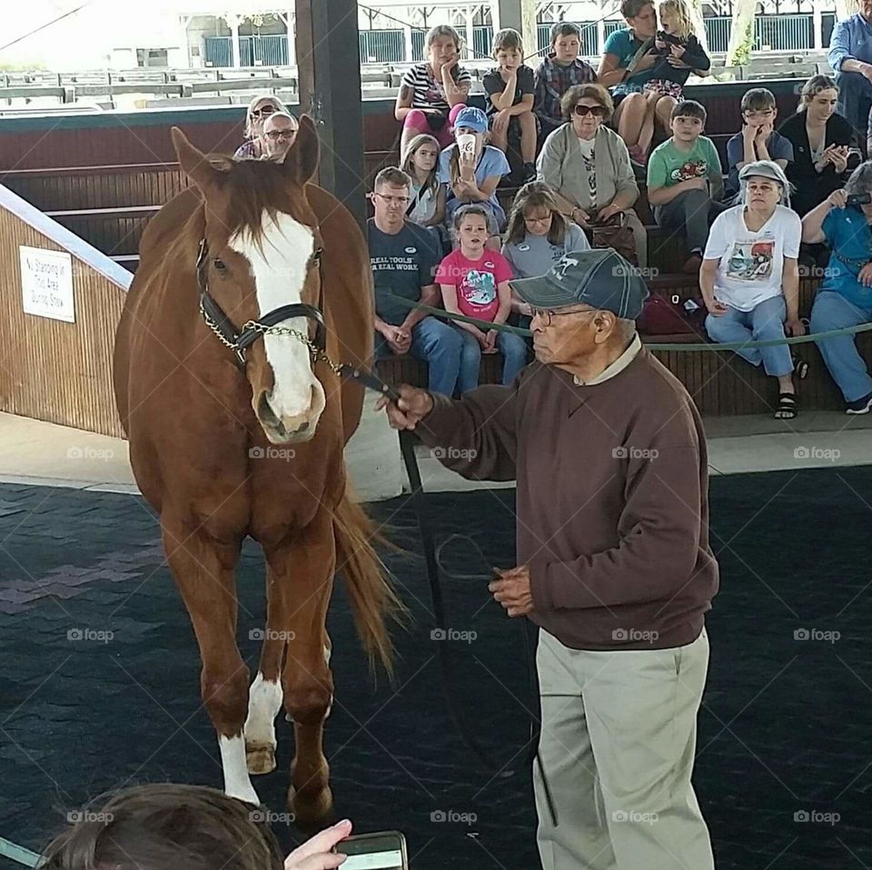 Kentucky Horse Park