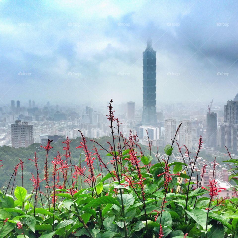 Taipei 101 . the iconic building disappearing into the clouds as seen from Elephant Mountain in Taiwan 