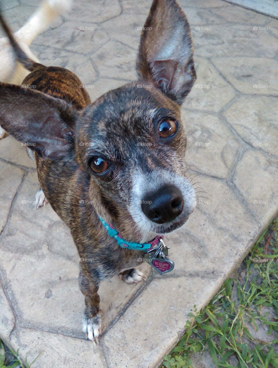 Hi daddy. I'm a good girl.