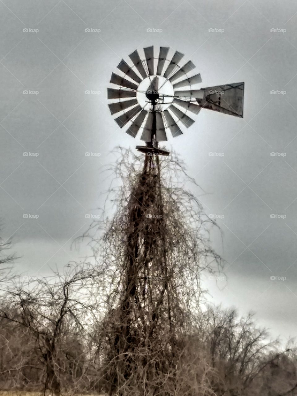 Working windmill in rural Missouri.