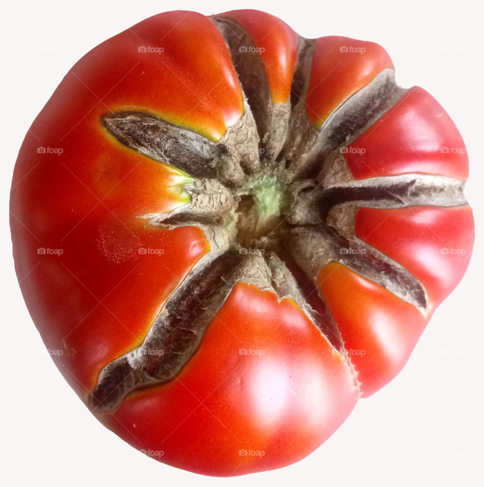 Tomato