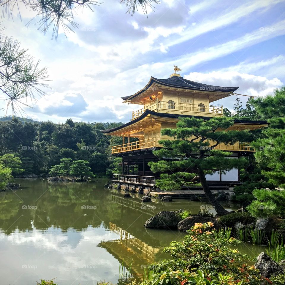 Golden Temple Kyoto . The most famous temple in Japan