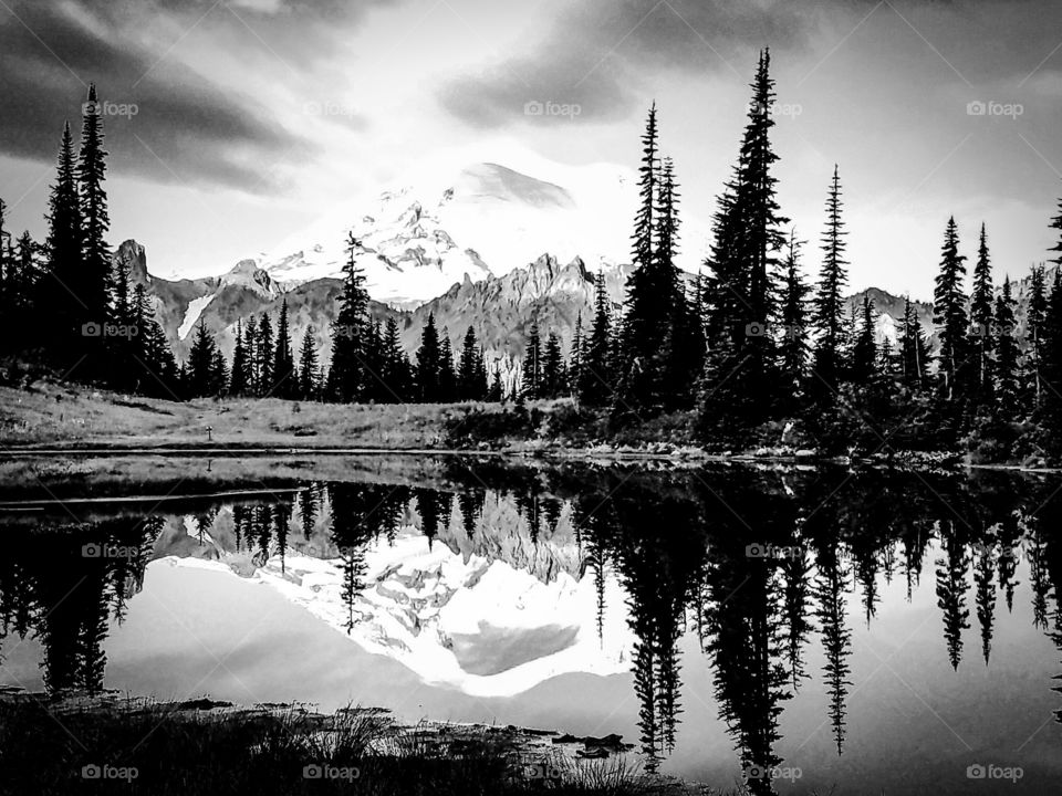 Black and white view of mountain and trees reflected on lake