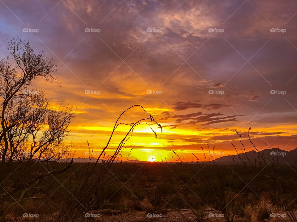 Desert Landscape - Sunset 