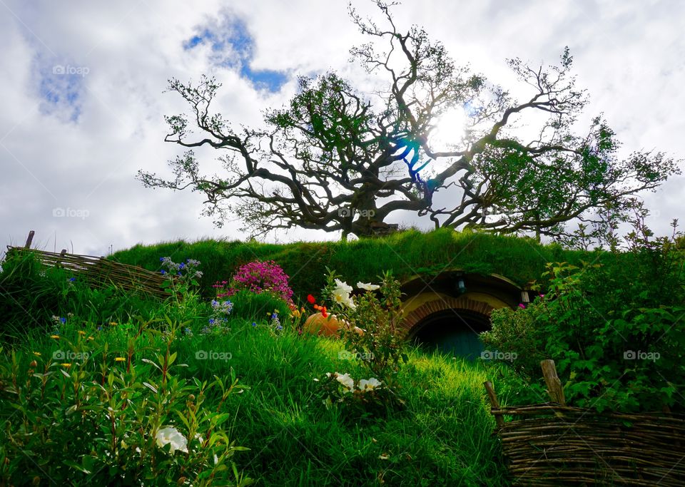 Hobbiton