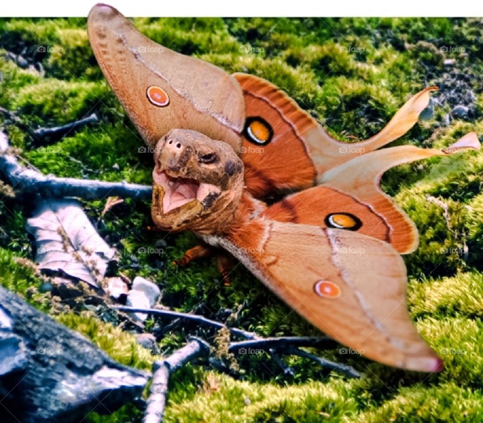 Quando un grafico si annoia