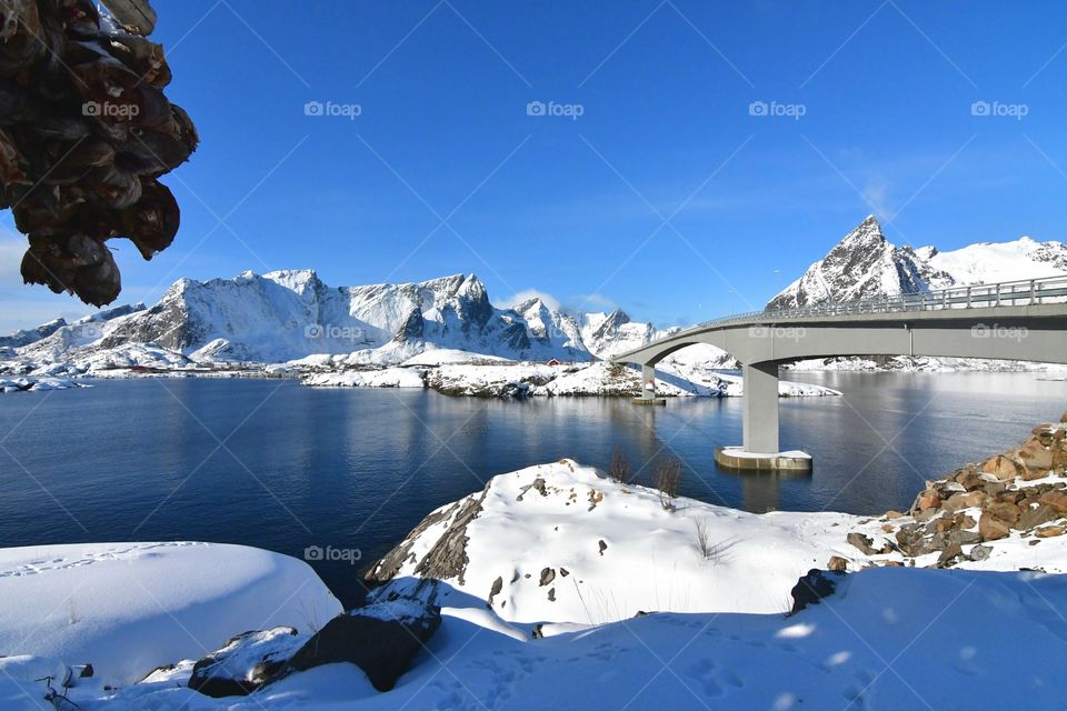 Beautiful Winter Lofoten