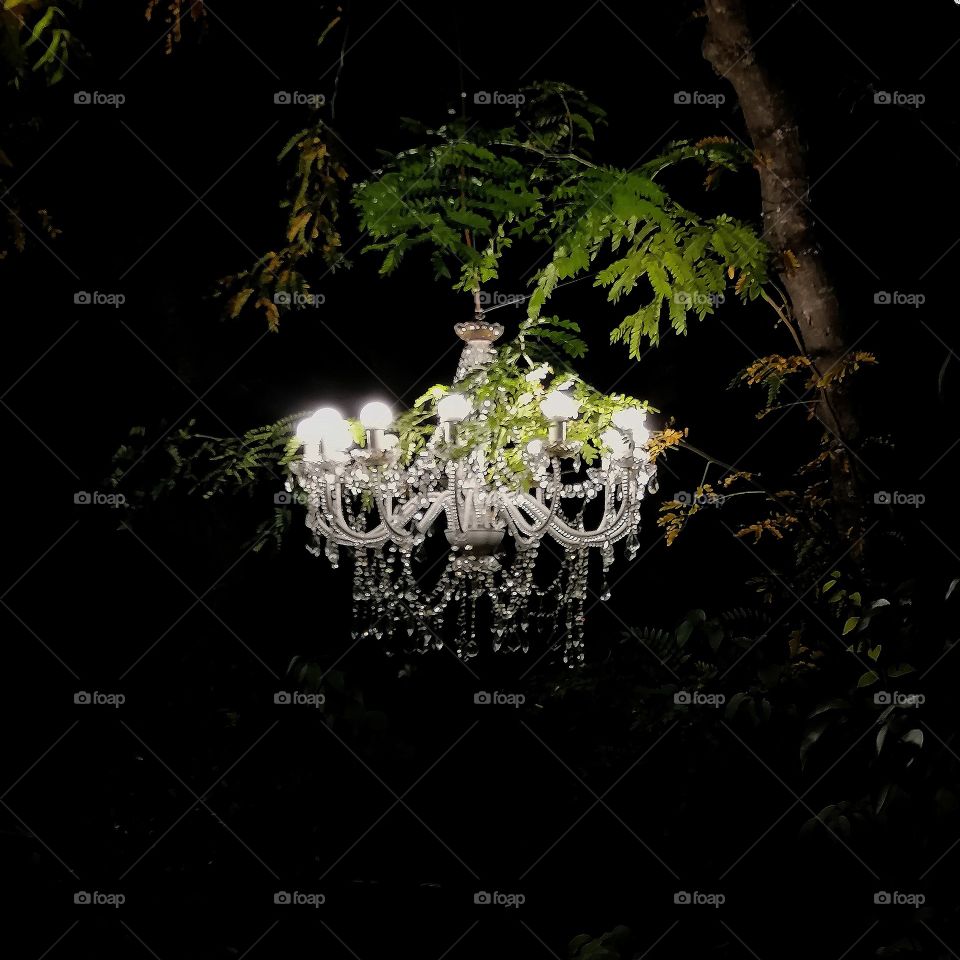 a Chandelier in the nature