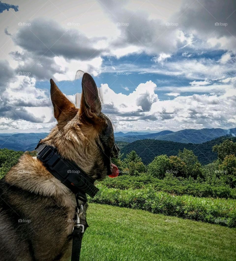 Keep your eye on the horizon