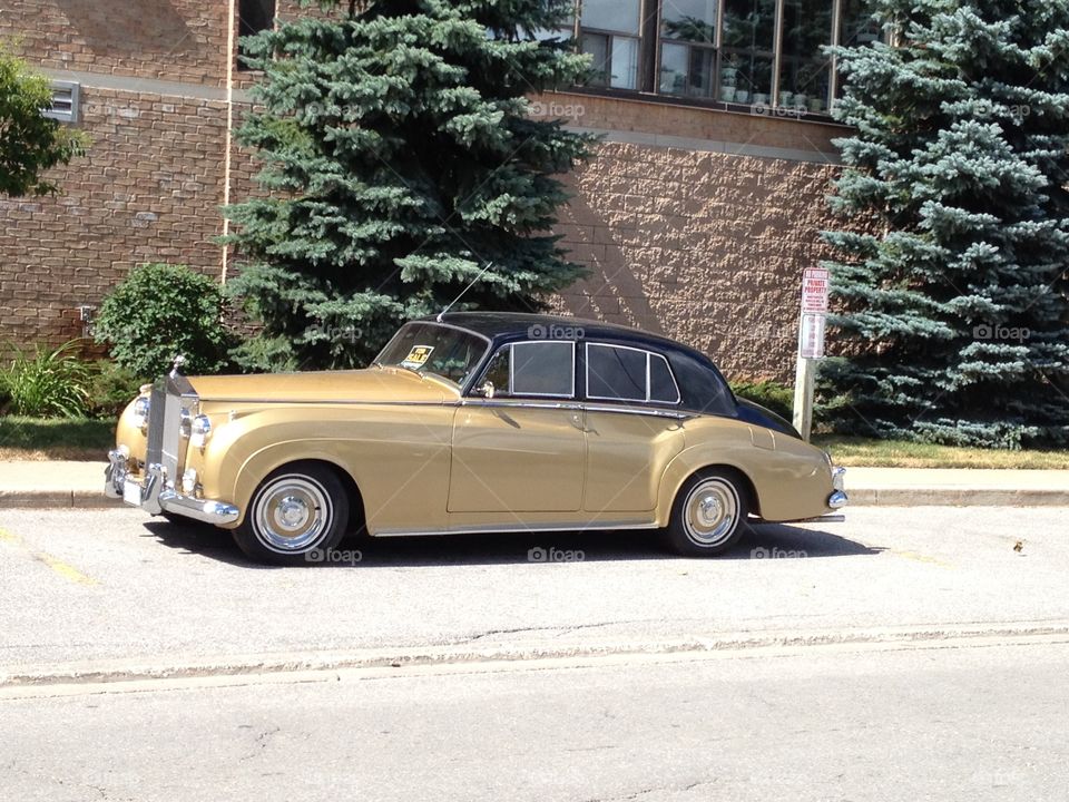 Gold Rolls. Gold Rolls Royce car