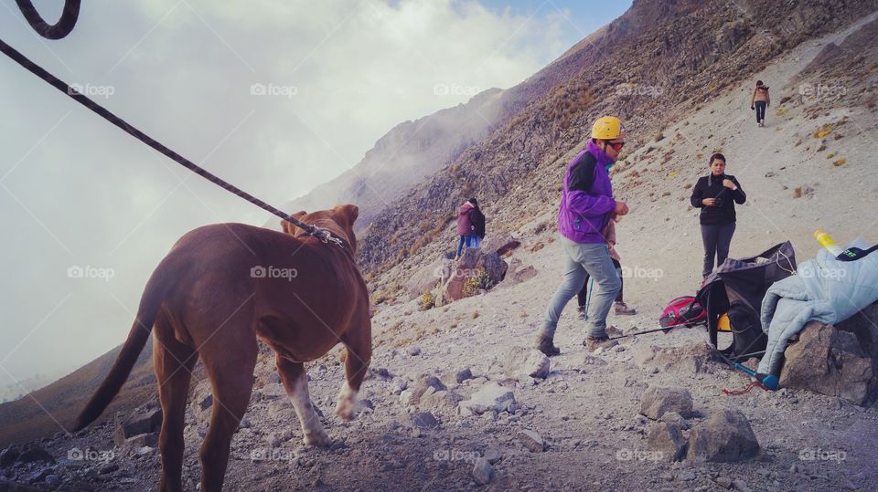 Hiking with dogs 