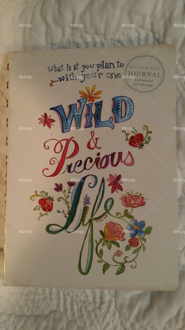 WILD AND PRECIOUS LIFE JOURNAL