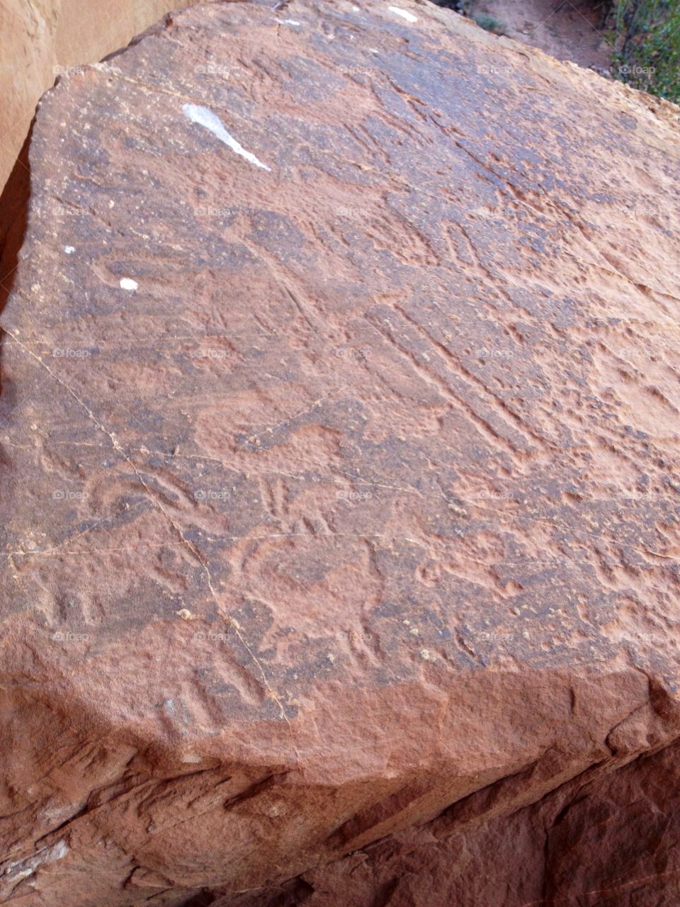 Petroglyphs 