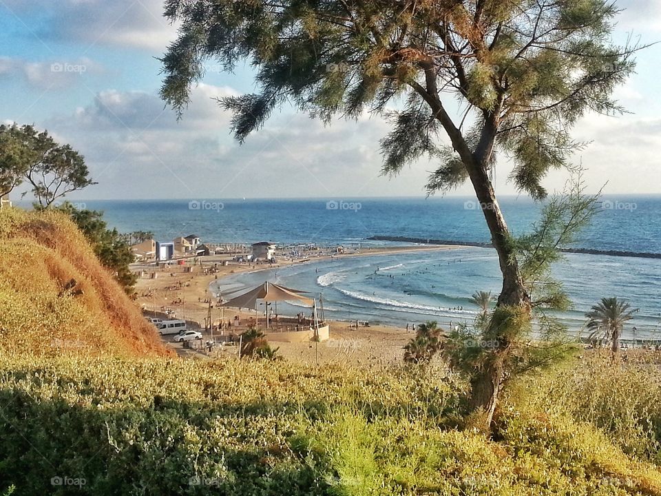 view of beach from a hill