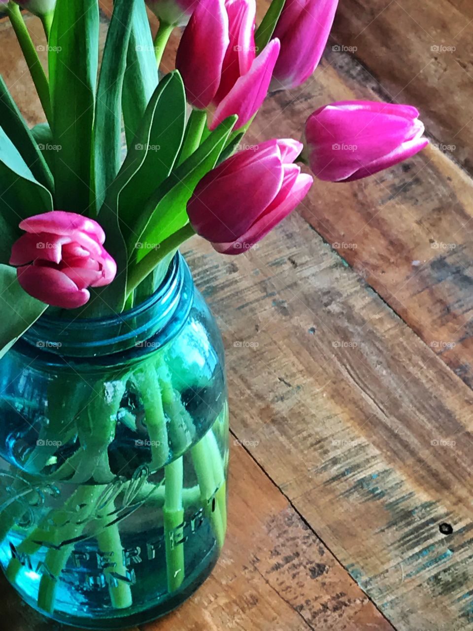 Bright Pink Tulips in a Vintage Blue Canning Jar. Pink  Tulip Bouquet on a Wood Farmhouse Table.