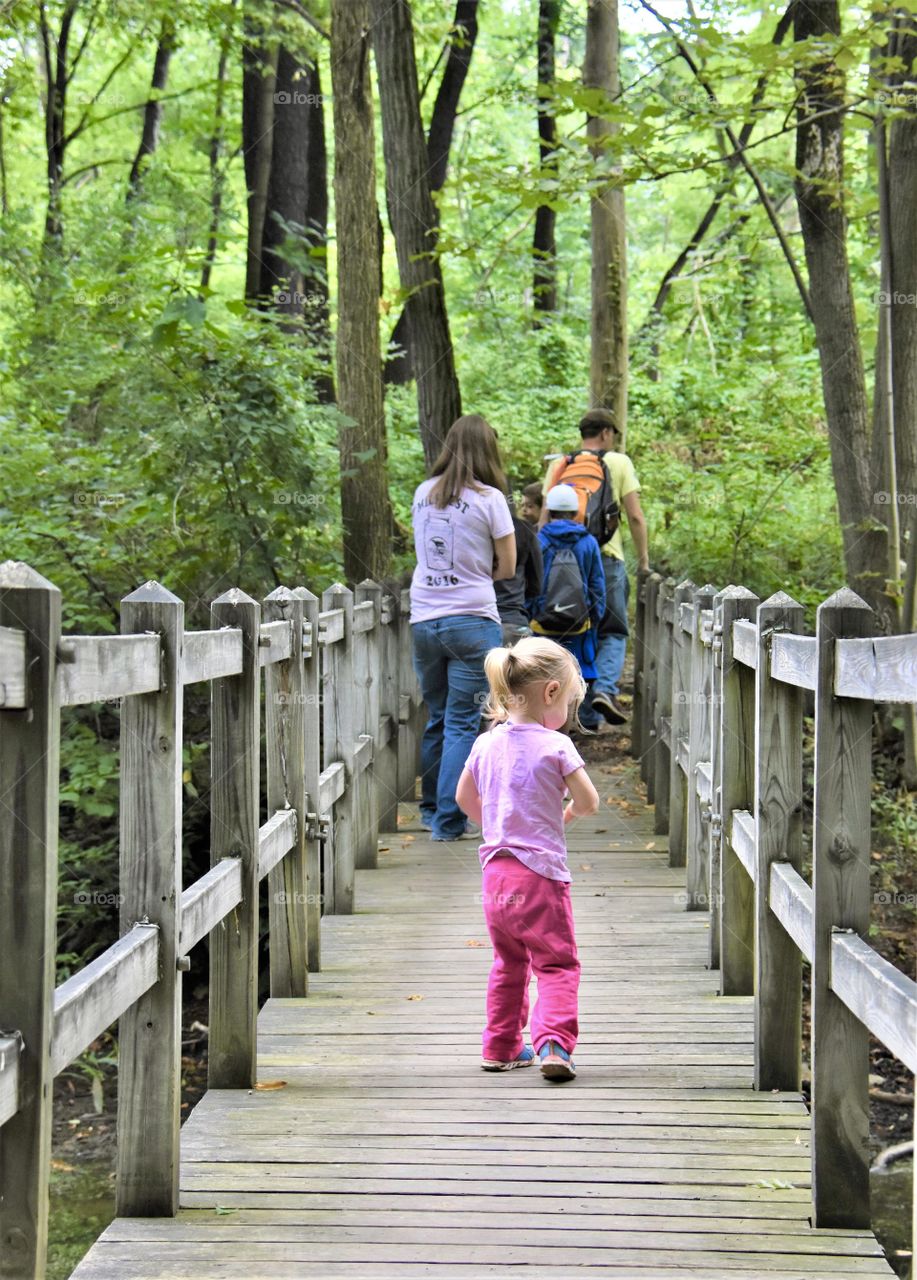 A hike through the forest, crossing a wooden bridge 