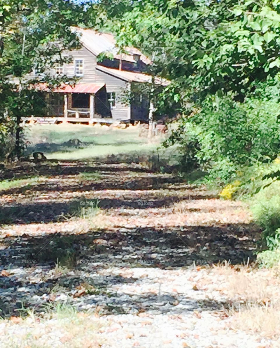 Old wooden structure in opening past the woods