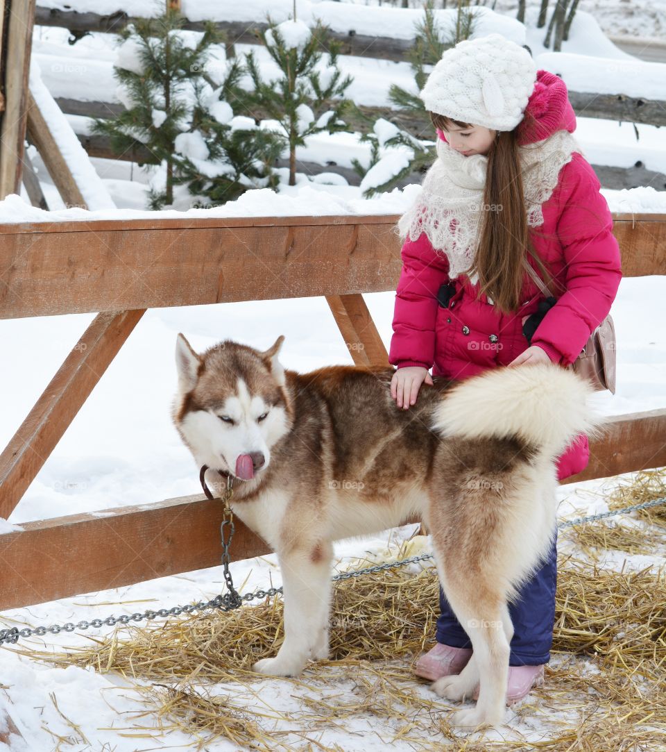 Dog, Winter, Mammal, Child, Pet