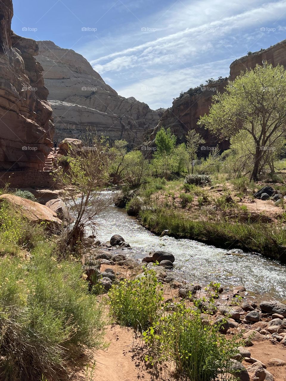 Capitol Reef National Park