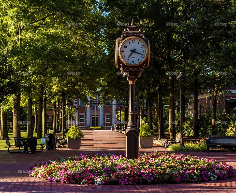 Clock in park with colorful flowers