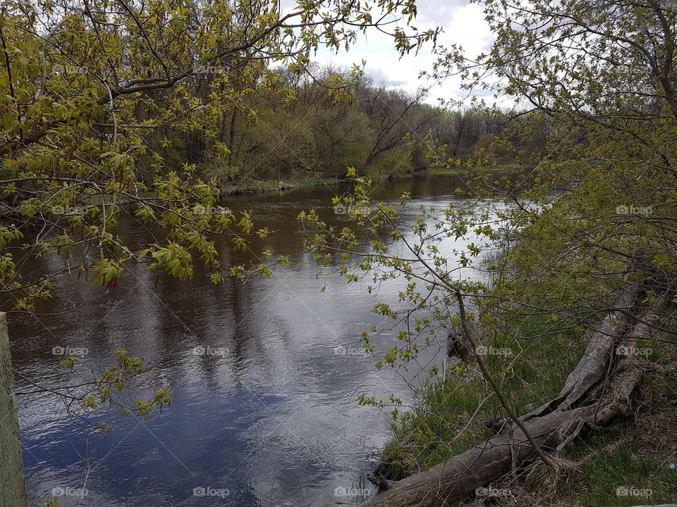 River flowing through country side