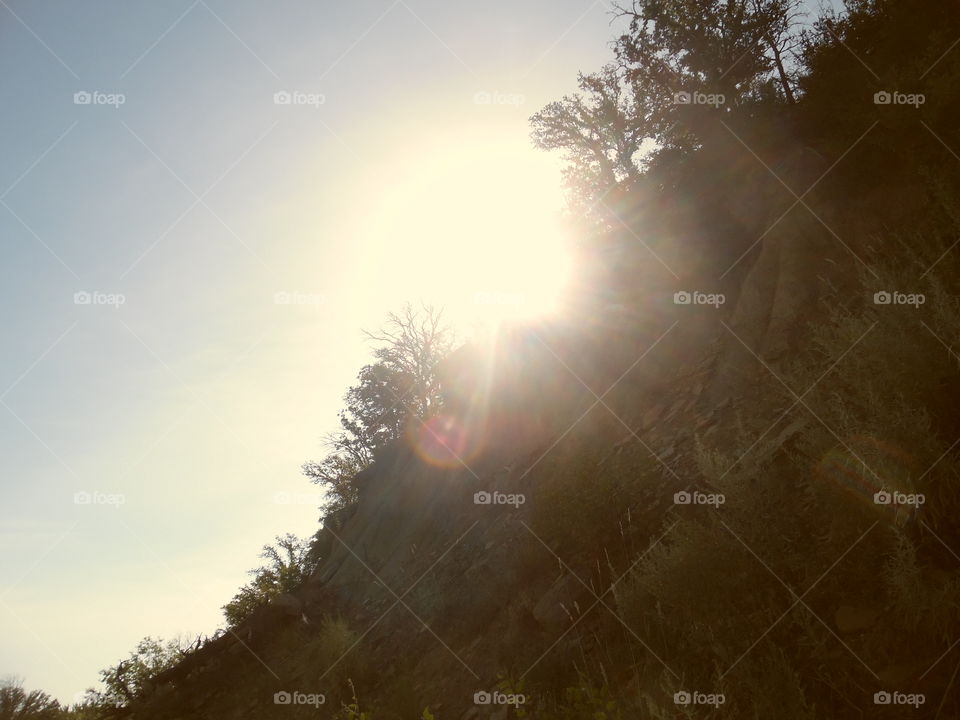 bright 🔆 spot. This is a picture I took of the sun shining through the tops of these trees. 👣 🚶 🏃 🔥 💨