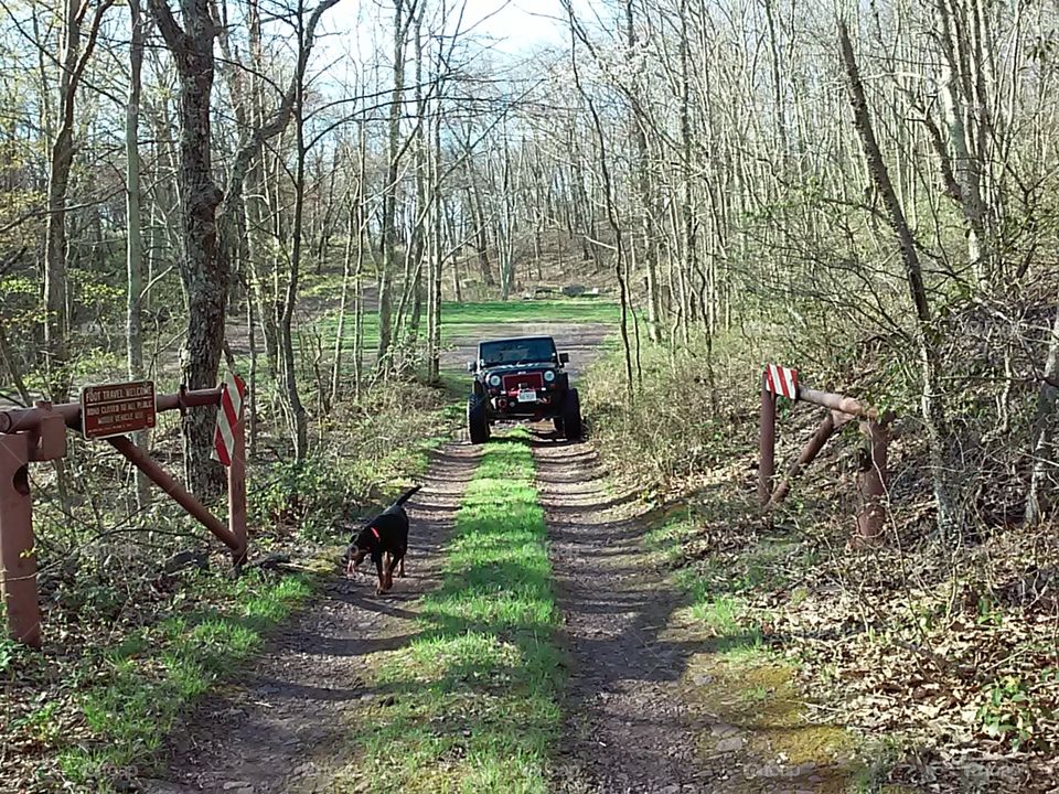 potts mountain jeep trail