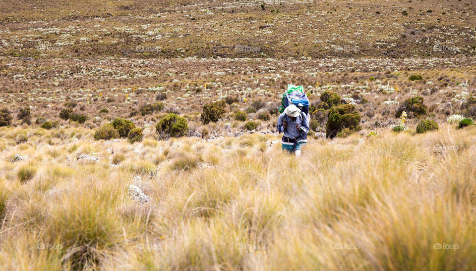 A porter walks through the grass landscape around Mt Kenya