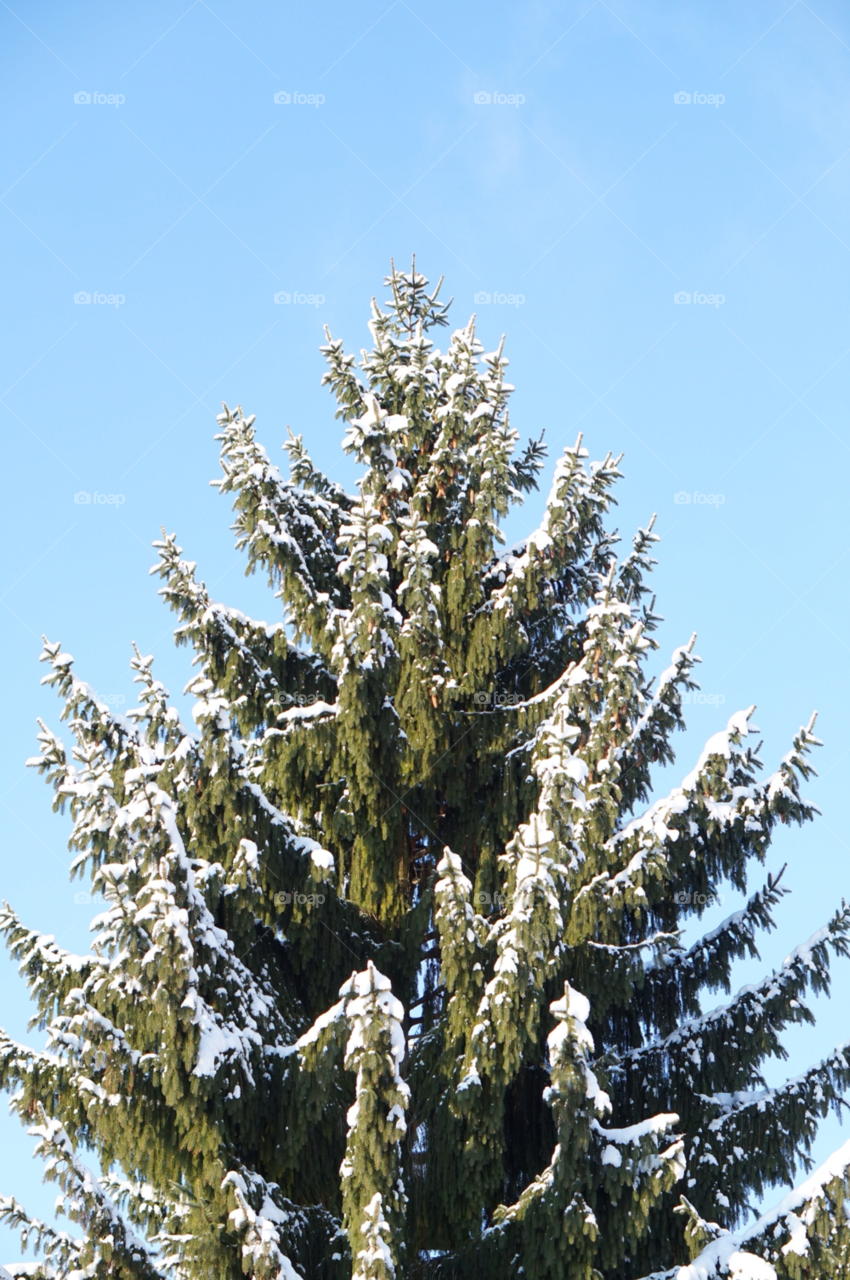 j snow winter sky by lexlebeur