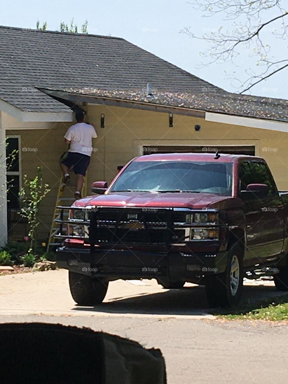 Neighbors putting up siding on this absolutely gorgeous day! This is how we quarantine!