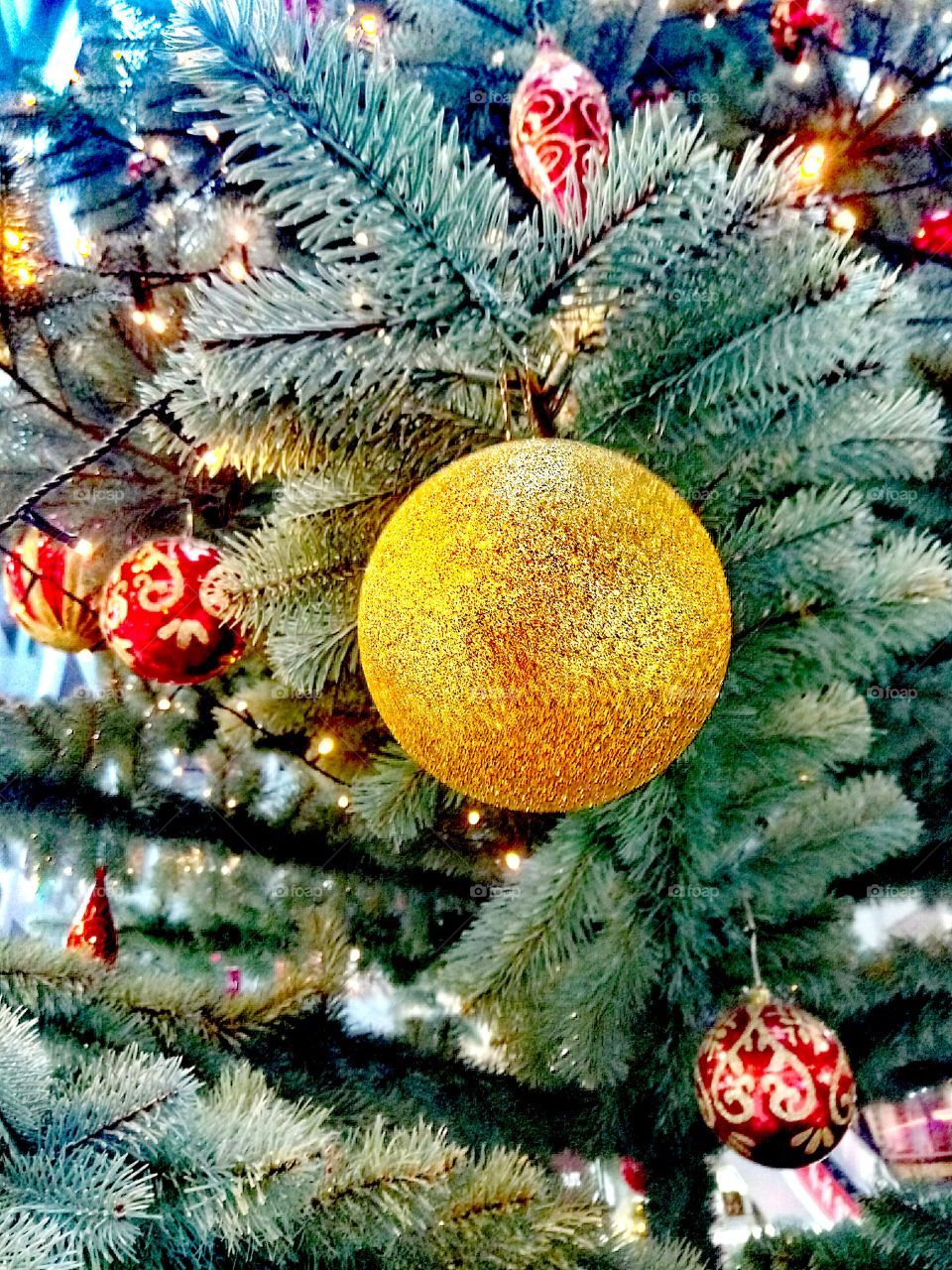 Christmas, Winter, Celebration, Decoration, Tree