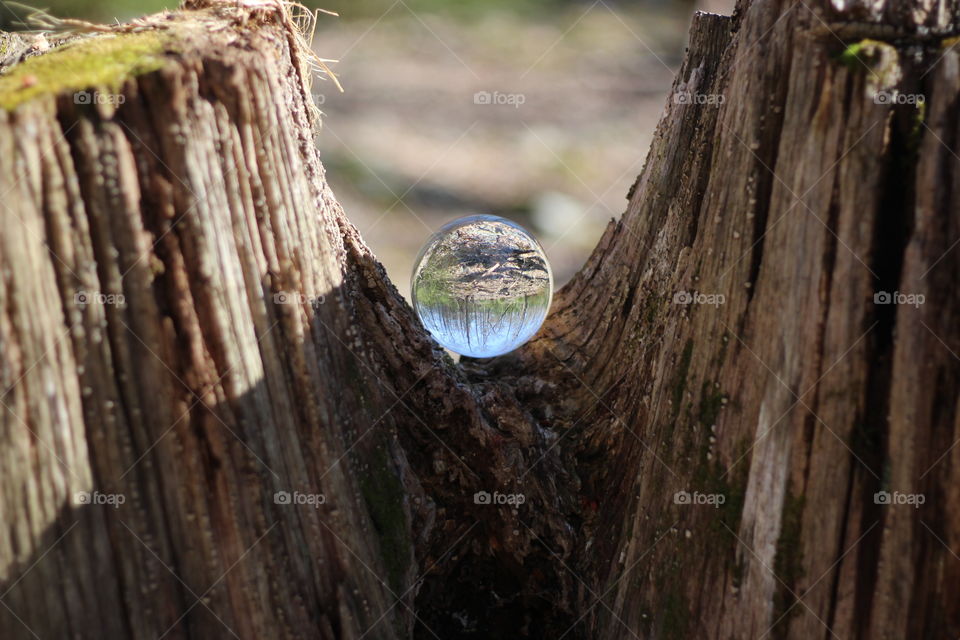 Globe of Nature