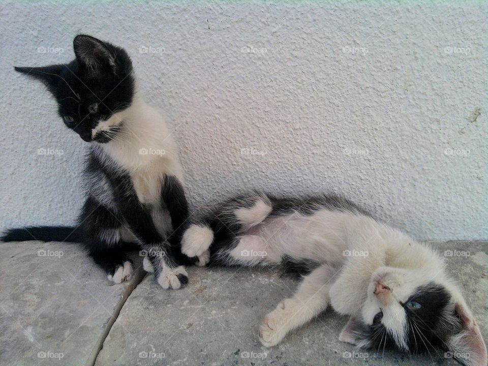 two lazy brothers. one gets bored while the other sleeps.